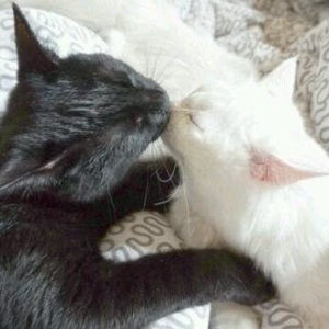 Meet your Posher, Makynna